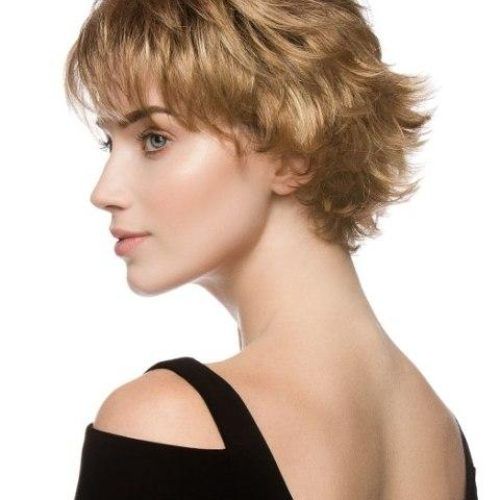 Short Haircuts For Fine Hair Oval Face (Photo 18 of 20)