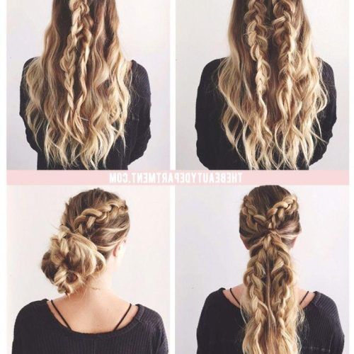 Braids Hairstyles For Long Thick Hair (Photo 1 of 15)