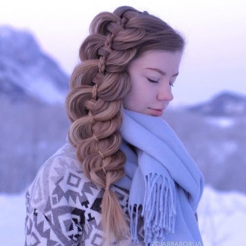Loose Double Braids Hairstyles (Photo 2 of 20)