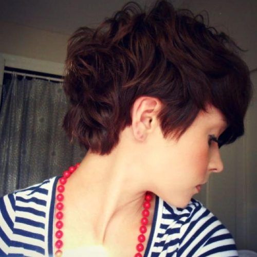 Long Pixie Haircuts For Curly Hair (Photo 8 of 20)