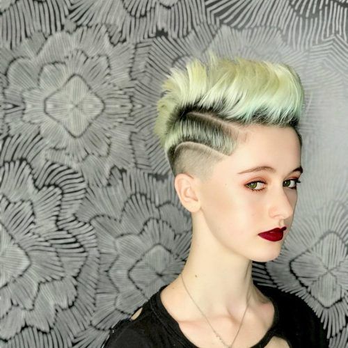 Punk Mohawk Updo Hairstyles (Photo 19 of 20)