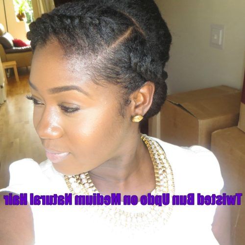 Twisted Updo Natural Hairstyles (Photo 9 of 15)