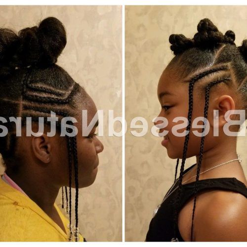 Mohawk Hairstyles With Braided Bantu Knots (Photo 12 of 20)