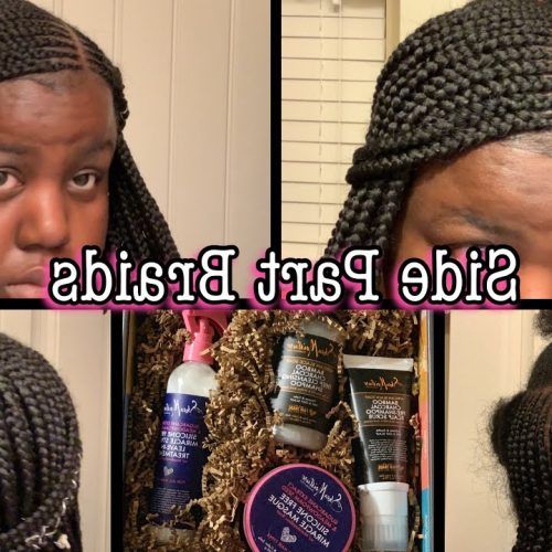 Side Parted Braid Hairstyles (Photo 15 of 20)