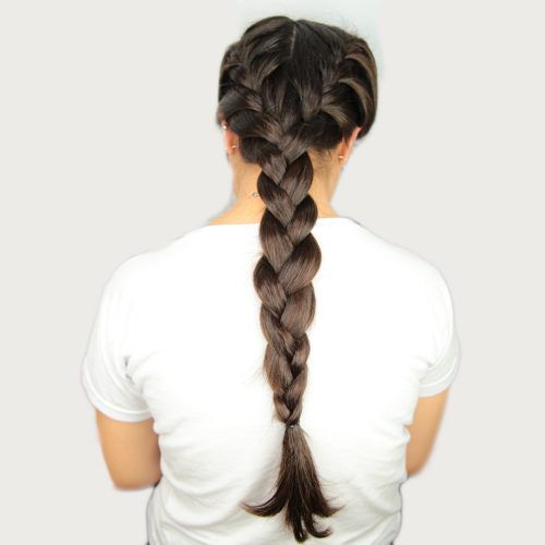 Thick Two Side Fishtails Braid Hairstyles (Photo 6 of 20)