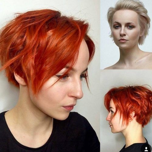 Shaggy Pixie Haircuts In Red Hues (Photo 6 of 15)