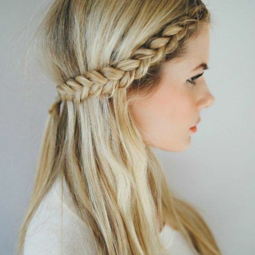 Braided Half-Up Hairstyles For A Cute Look (Photo 19 of 20)