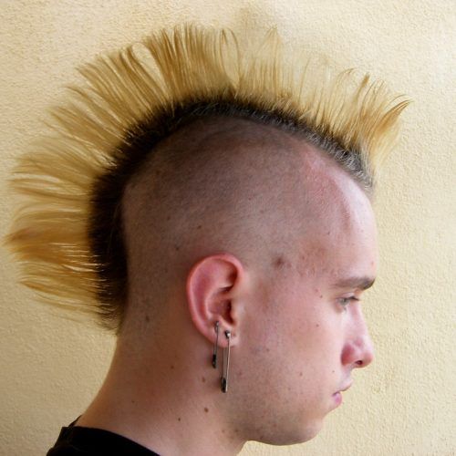 Spiky Mohawk Hairstyles (Photo 18 of 20)