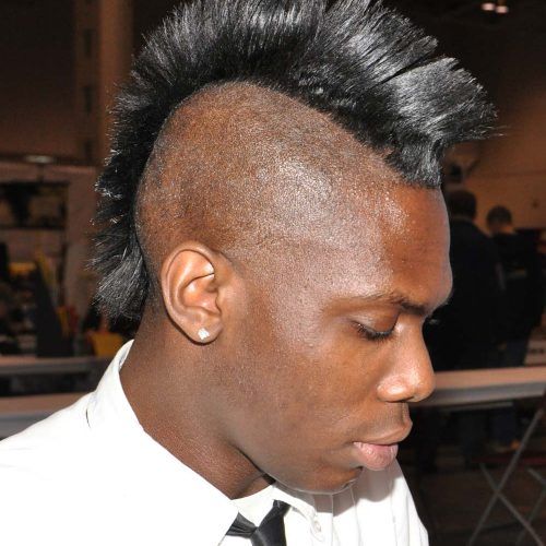 Mohawk Hairstyles With Length And Frosted Tips (Photo 3 of 20)