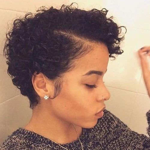 Short Haircuts For Curly Black Hair (Photo 12 of 20)