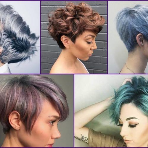 Short Crop Hairstyles With Colorful Highlights (Photo 11 of 20)