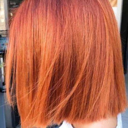 Bright Blunt Hairstyles For Short Straight Hair (Photo 13 of 20)