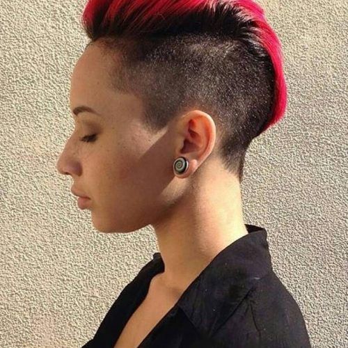 Funky Pink Mohawk Hairstyles (Photo 16 of 20)
