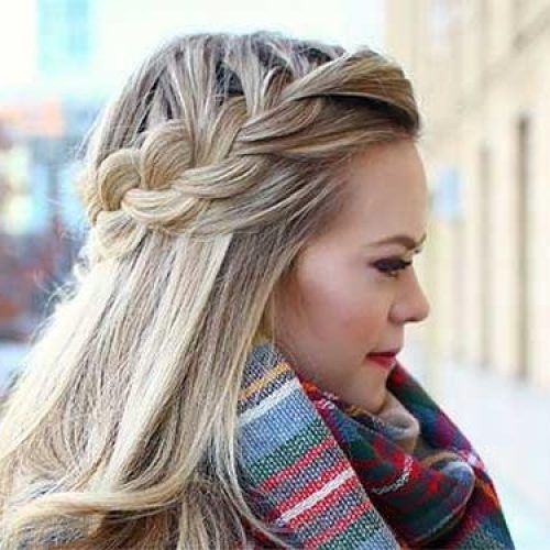 Long Hairstyles Braids (Photo 14 of 15)