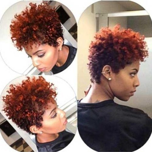 Short Haircuts For Naturally Curly Hair (Photo 18 of 20)