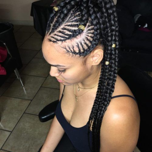 Ponytail Braid Hairstyles With Thin And Thick Cornrows (Photo 7 of 20)