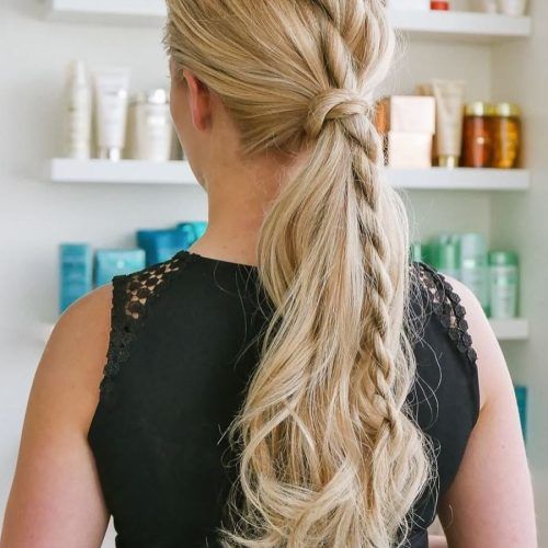 Side Rope Braid Hairstyles For Long Hair (Photo 15 of 20)