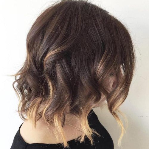 Curly Dark Brown Bob Hairstyles With Partial Balayage (Photo 9 of 20)