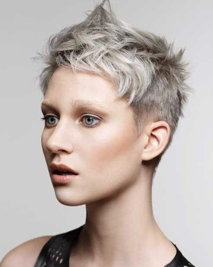20 Best Ideas Grey Pixie Haircuts