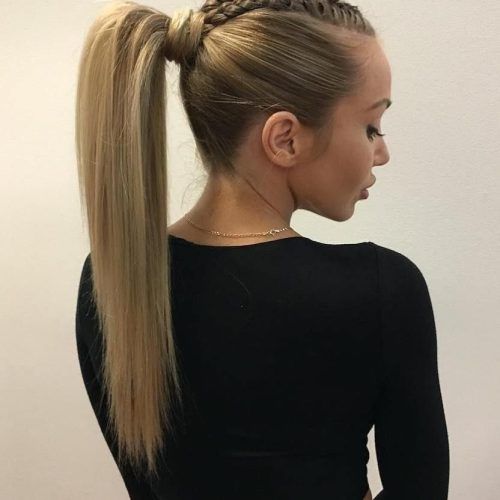 Strong Braid Ponytail Hairstyles (Photo 1 of 20)