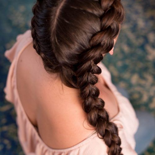 Royal Braided Hairstyles With Highlights (Photo 16 of 20)