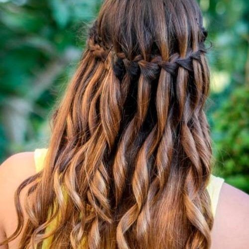 Braids For Long Thick Hair (Photo 8 of 15)