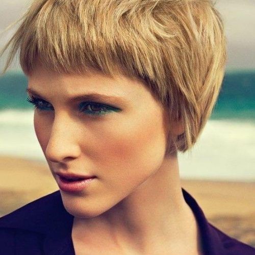 Pixie Haircuts For Thick Straight Hair (Photo 18 of 20)