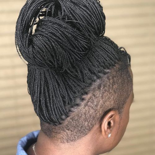 Side Design Micro Braid Hairstyles (Photo 4 of 20)