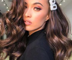 20 Photos Black Hairstyles with Brown Highlights