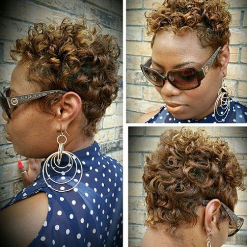 Tight Chocolate Curls Hairstyles With Caramel Touches (Photo 5 of 20)