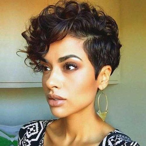 Short Haircuts For Very Curly Hair (Photo 1 of 20)