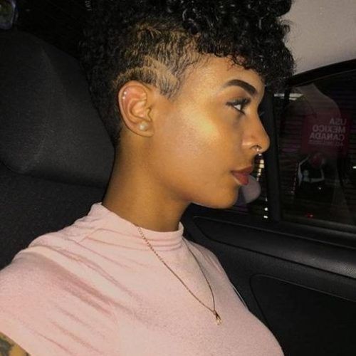 Short Haircuts For Black Curly Hair (Photo 15 of 20)