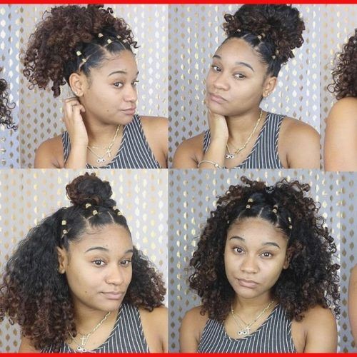 Braided Hairstyles For Naturally Curly Hair (Photo 9 of 15)