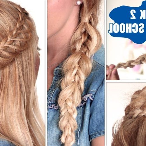 Braided Hairstyles For School (Photo 5 of 15)