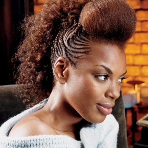 Braided Hairstyles In A Mohawk (Photo 14 of 15)