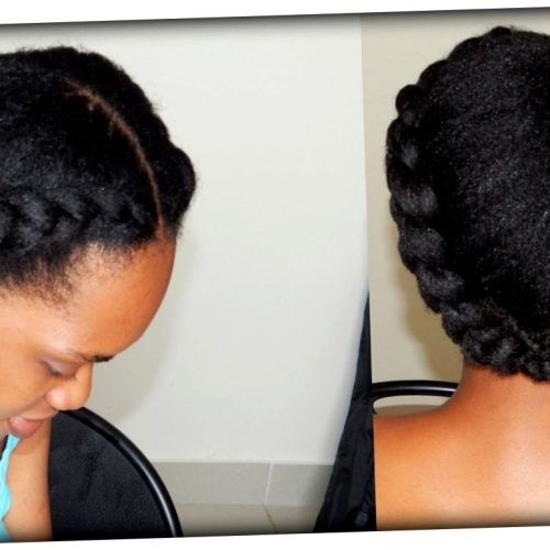Braided Hairstyles On Natural Hair (Photo 9 of 15)