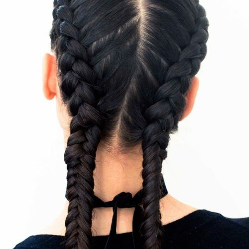 Chunky Two-French Braid Hairstyles (Photo 11 of 15)