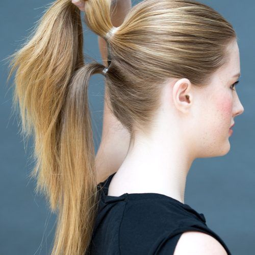Double Tied Pony Hairstyles (Photo 16 of 20)