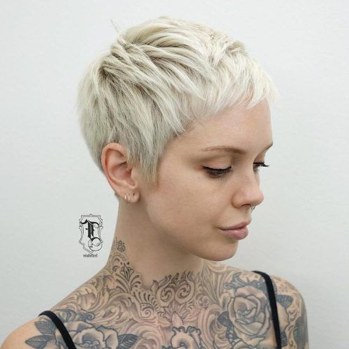 Feathered Pixie Shag Haircuts With Highlights (Photo 14 of 20)
