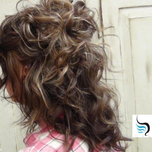 Half Up Half Down Wedding Hairstyles For Long Hair (Photo 11 of 15)