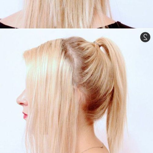 High Ponytail Hairstyles With Accessory (Photo 5 of 20)