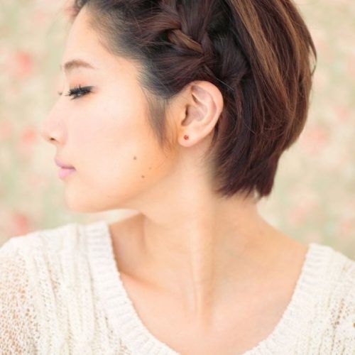 Korean Braided Hairstyles (Photo 12 of 15)