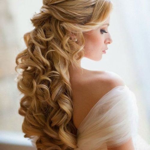 Long Curly Bridal Hairstyles With A Tiara (Photo 4 of 20)