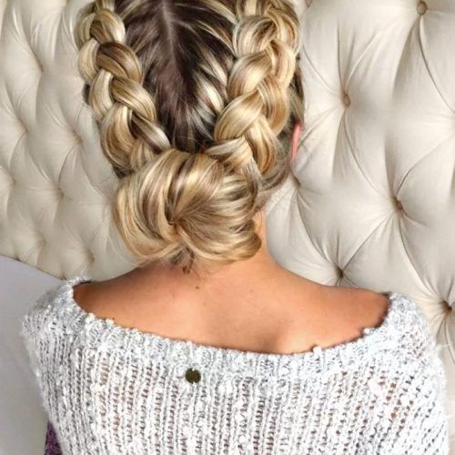 Messy Double Braid Hairstyles (Photo 9 of 15)