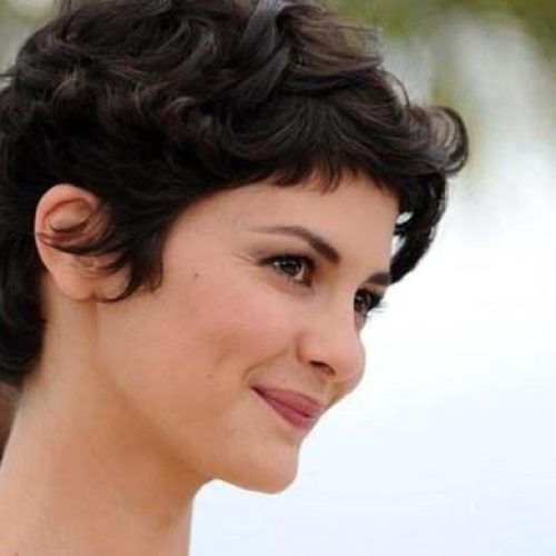 Pixie Haircuts With Curly Hair (Photo 15 of 20)