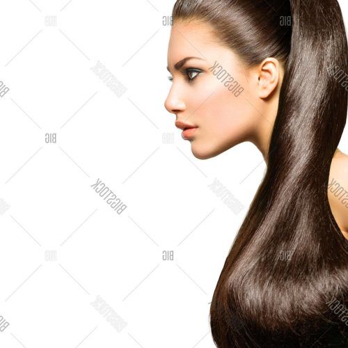 Ponytail Hairstyles For Brunettes (Photo 14 of 20)