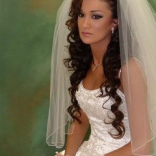 Side Curls Bridal Hairstyles With Tiara And Lace Veil (Photo 7 of 20)
