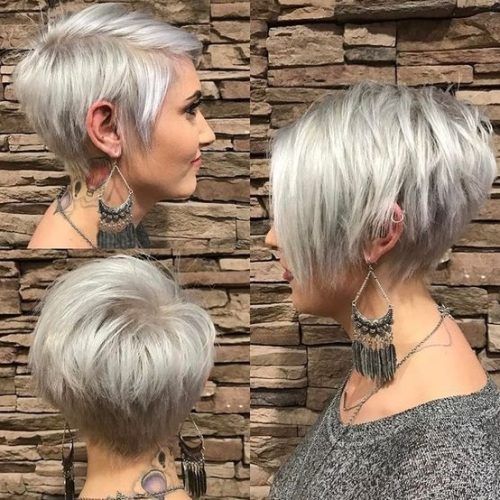 Silver And Brown Pixie Haircuts (Photo 11 of 15)