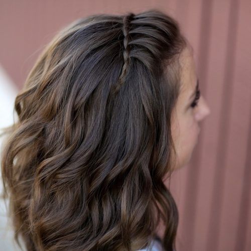 Simple Braided Hairstyles (Photo 14 of 15)