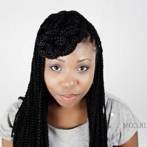 Singles Braided Hairstyles (Photo 14 of 15)